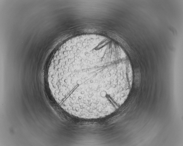 X0000111000626200907311031