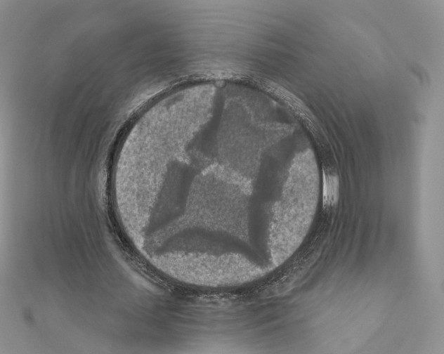 X0000111000627200907311031