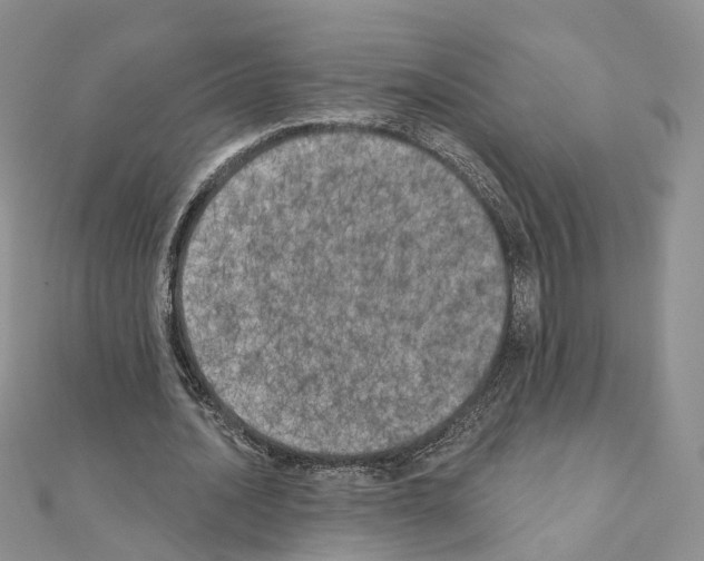 X0000111000628200907311031