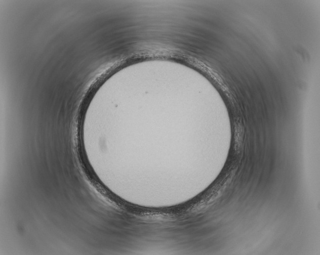 X0000111000629200907311031