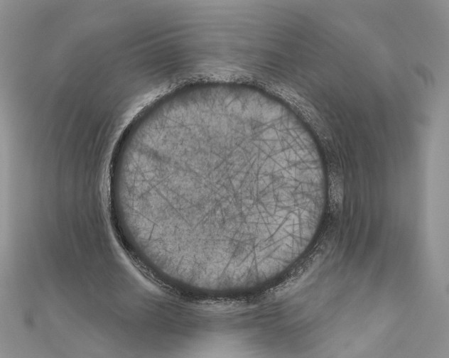 X0000111000630200907311031