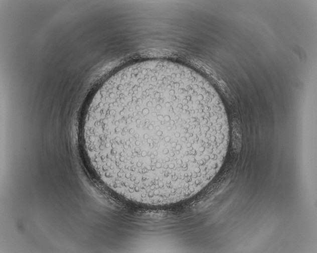 X0000111000631200907311031