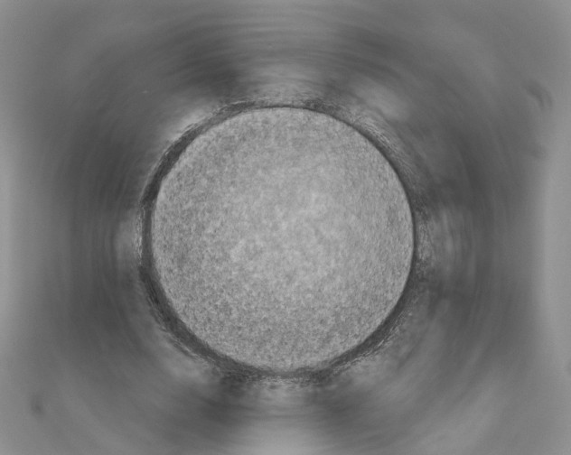 X0000111000632200907311031