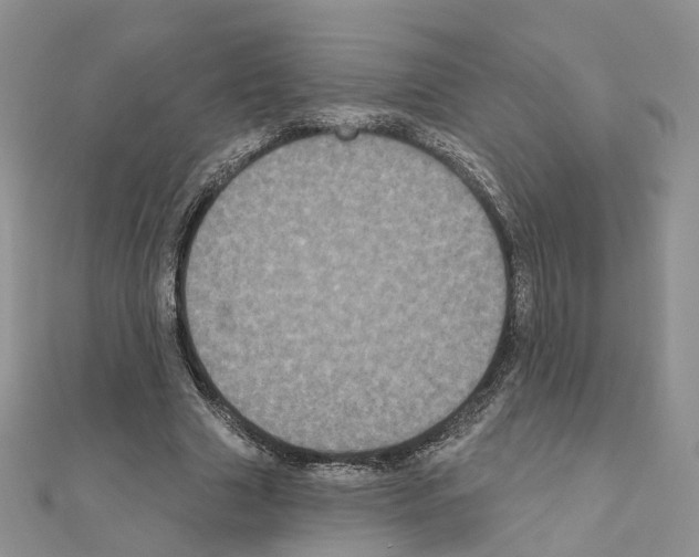 X0000111000633200907311031