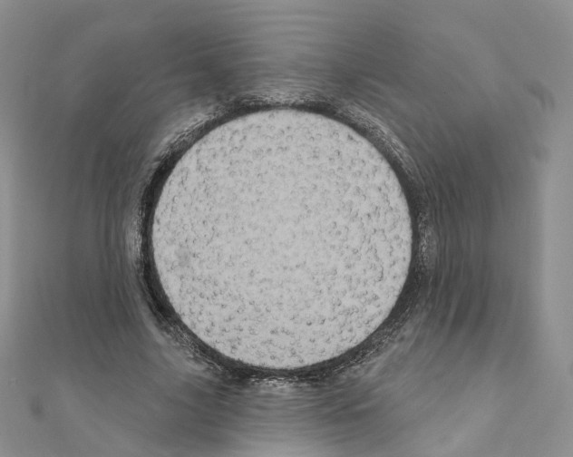 X0000111000635200907311031