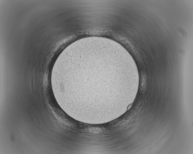 X0000111000636200907311031