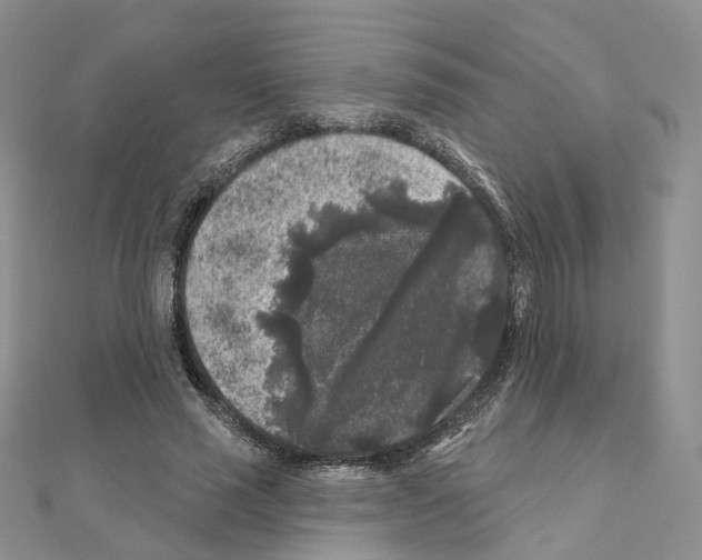 X0000111000637200907311032