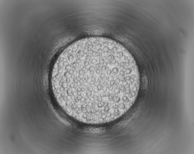 X0000111000638200907311032