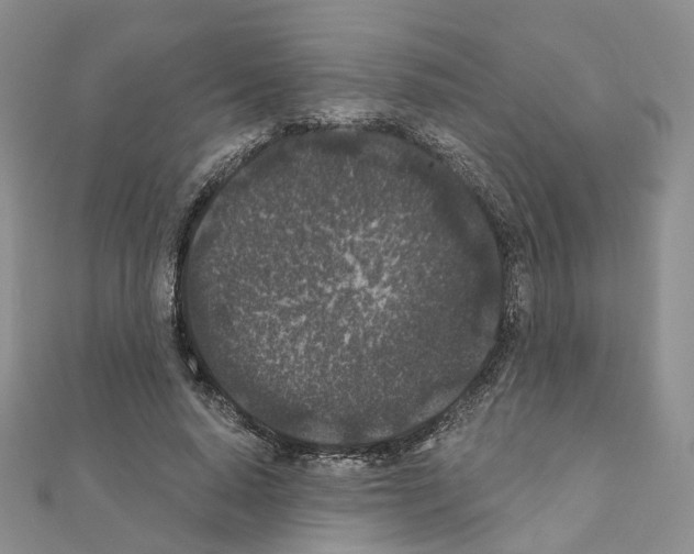 X0000111000640200907311032