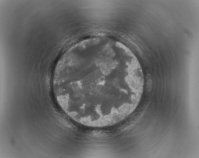 X0000111000641200907311032