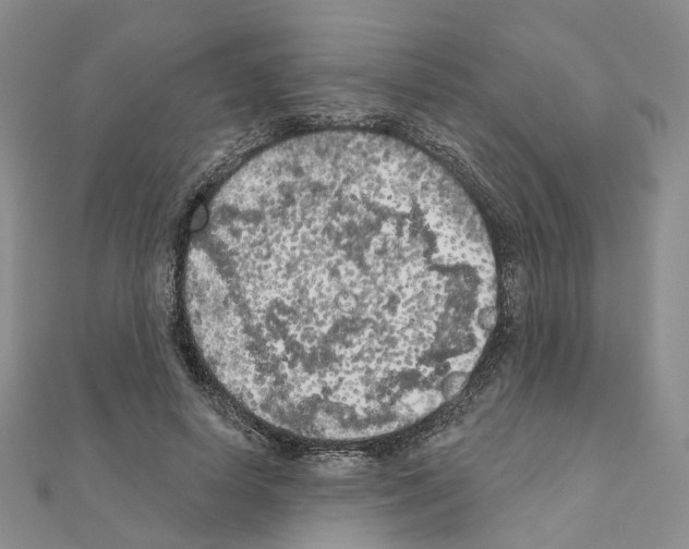 X0000111000642200907311032