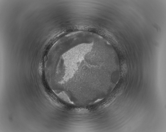 X0000111000644200907311032