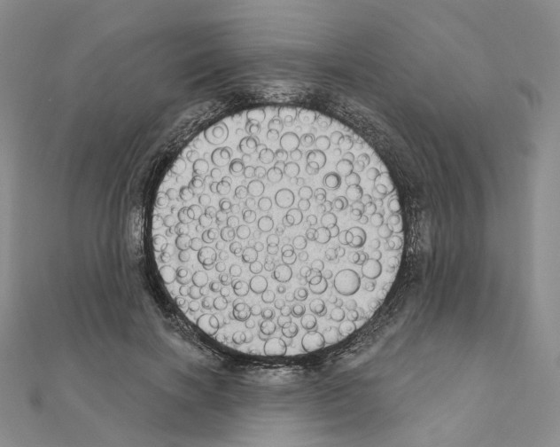 X0000111000646200907311032