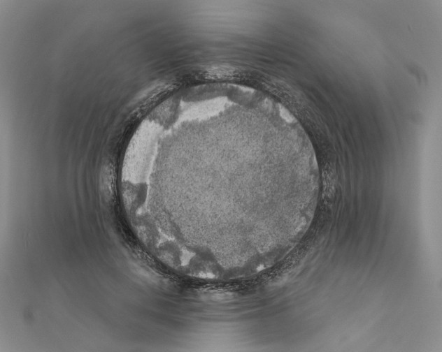 X0000111000648200907311032