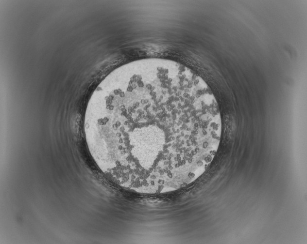 X0000111000650200907311032