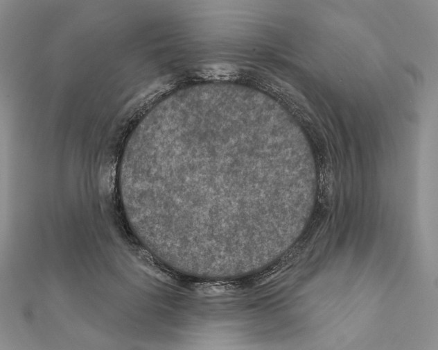 X0000111000652200907311032