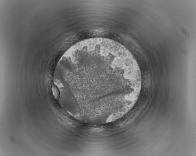 X0000111000653200907311032