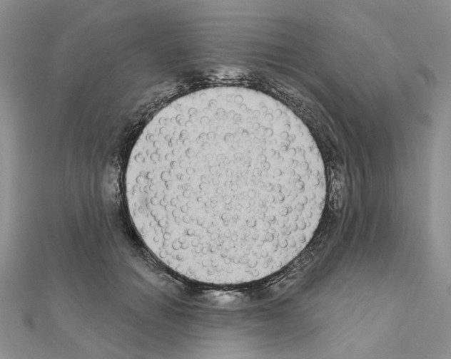 X0000111000654200907311032