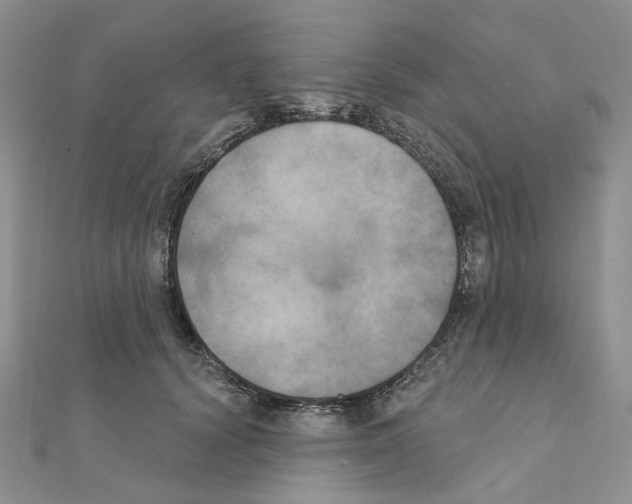 X0000111000656200907311032