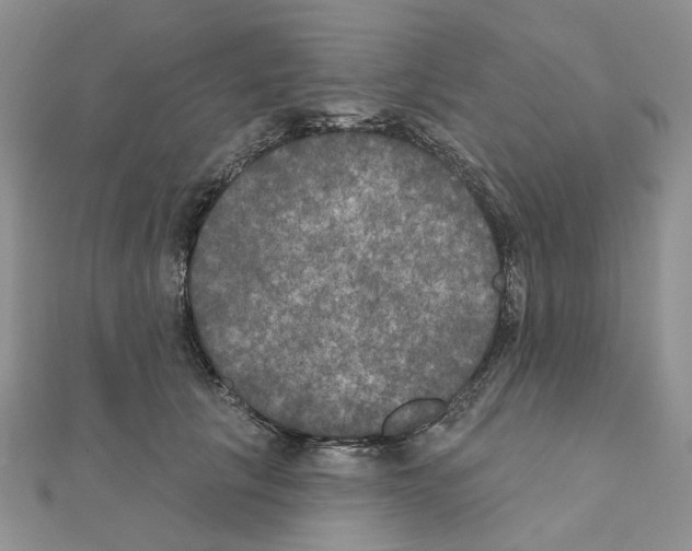 X0000111000657200907311032