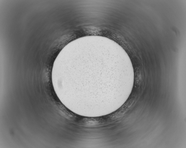 X0000111000658200907311032