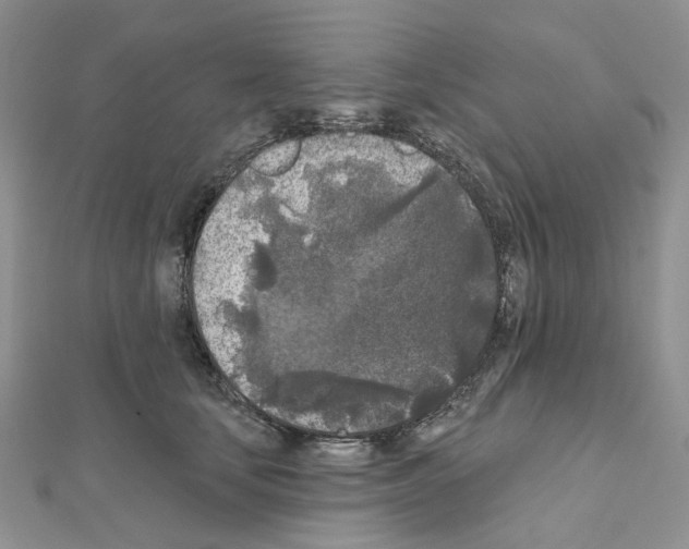 X0000111000659200907311032