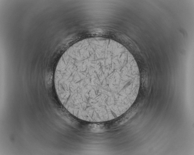 X0000111000660200907311032