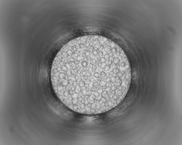 X0000111000662200907311032