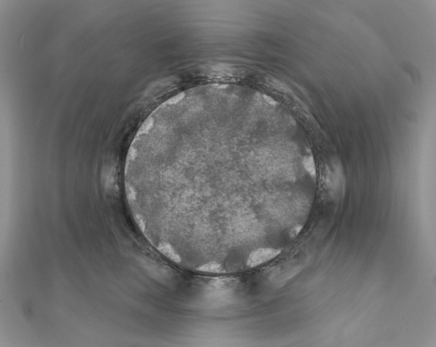 X0000111000663200907311032