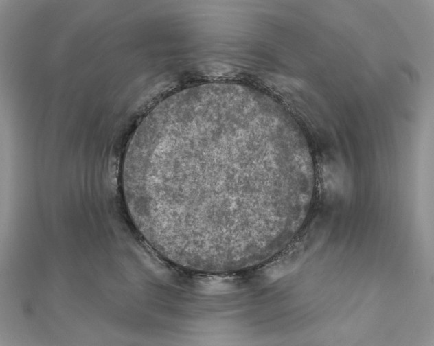 X0000111000664200907311032