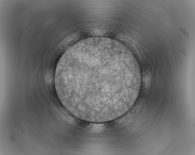 X0000111000665200907311032