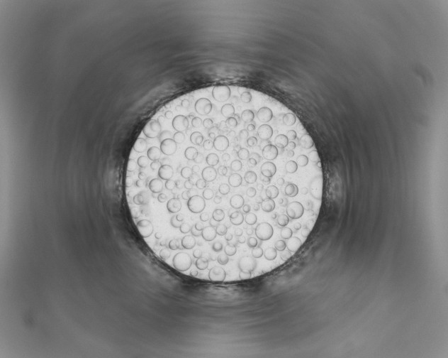 X0000111000666200907311032