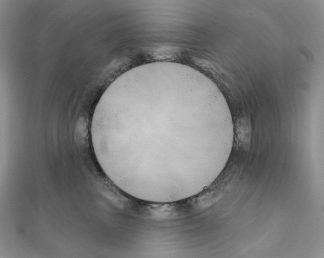 X0000111000667200907311032