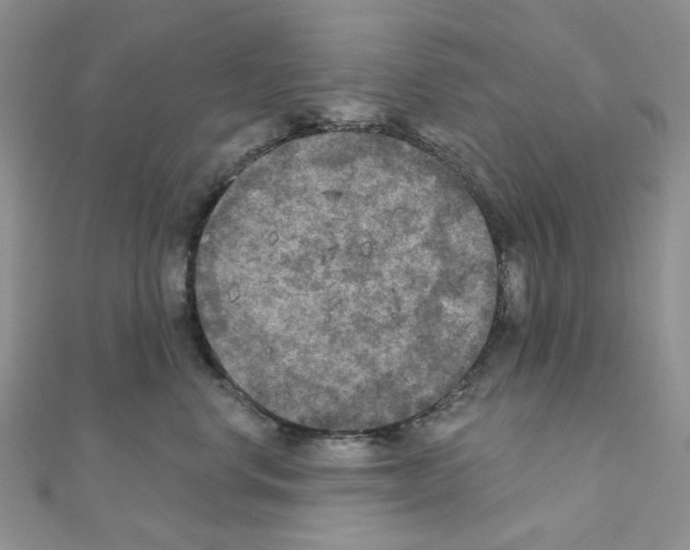 X0000111000668200907311032