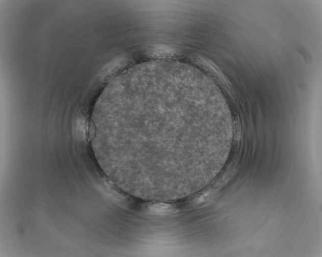 X0000111000669200907311032