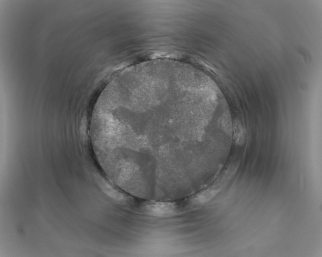 X0000111000670200907311032