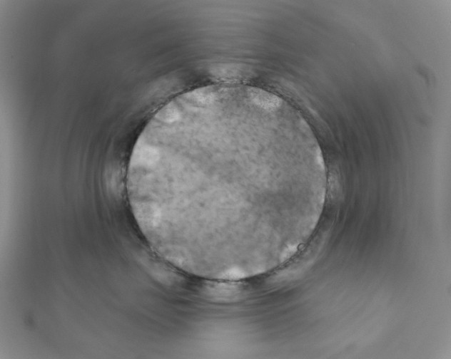 X0000111000671200907311032