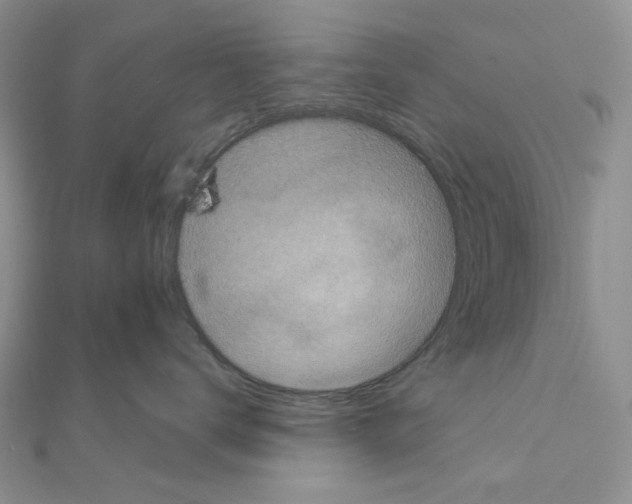 X0000111000672200907311032