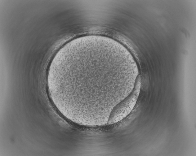 X0000111000673200907311031