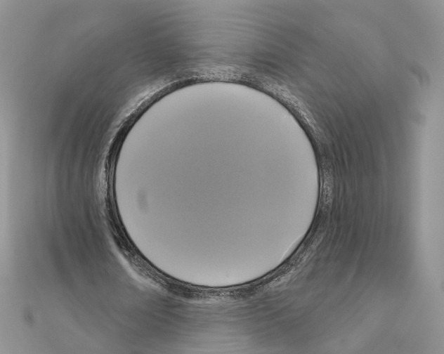 X0000111000674200907311031