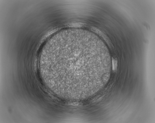 X0000111000675200907311031