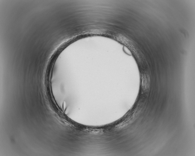 X0000111000676200907311031