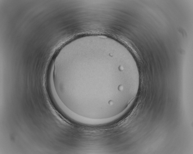 X0000111000677200907311031