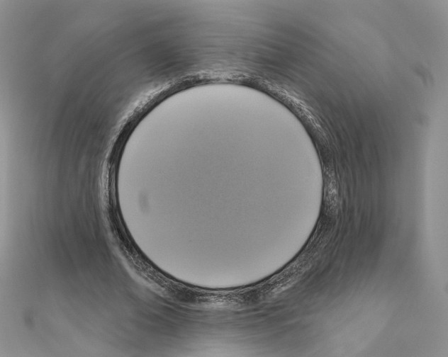 X0000111000678200907311031