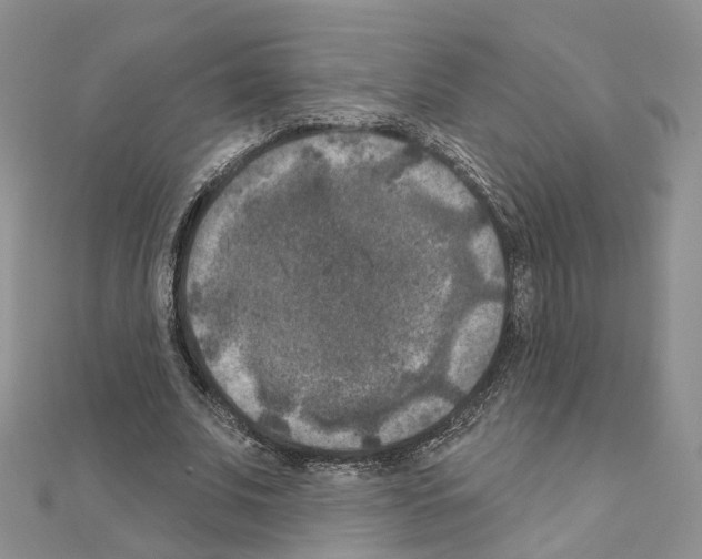 X0000111000679200907311031