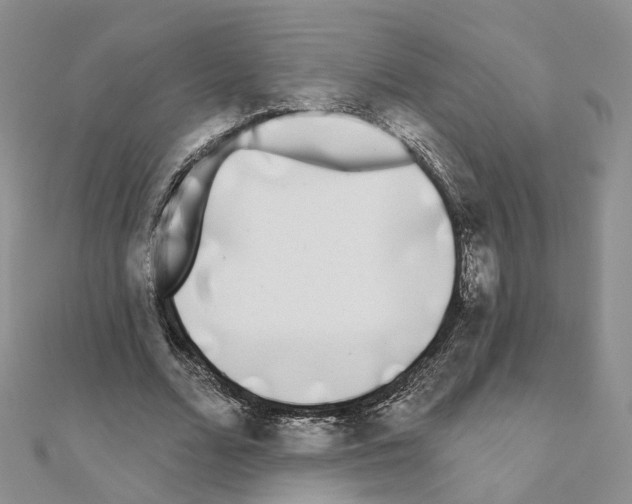 X0000111000680200907311031