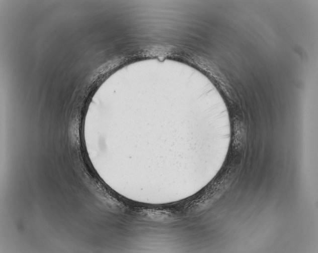 X0000111000681200907311031