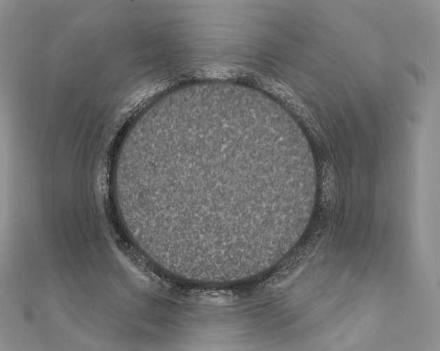 X0000111000683200907311031