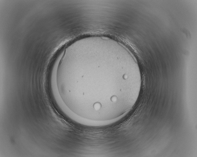 X0000111000684200907311031