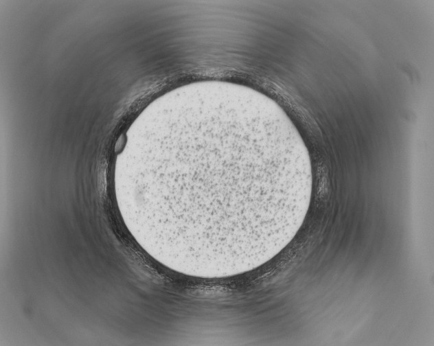 X0000111000685200907311031